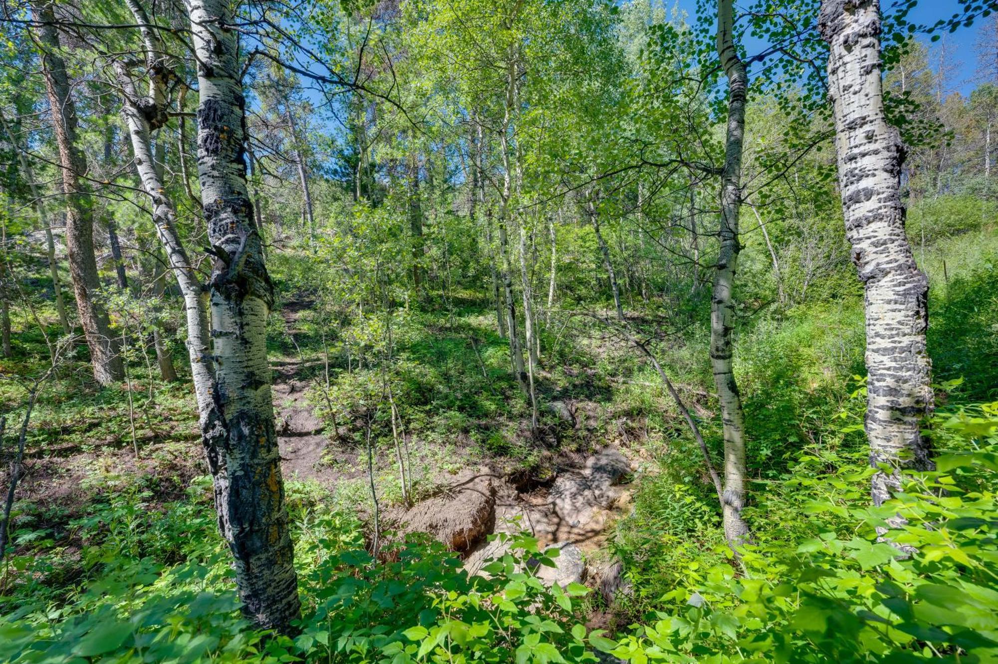 Stunning Golden Home With Deck About 35 Mi To Denver! Екстериор снимка